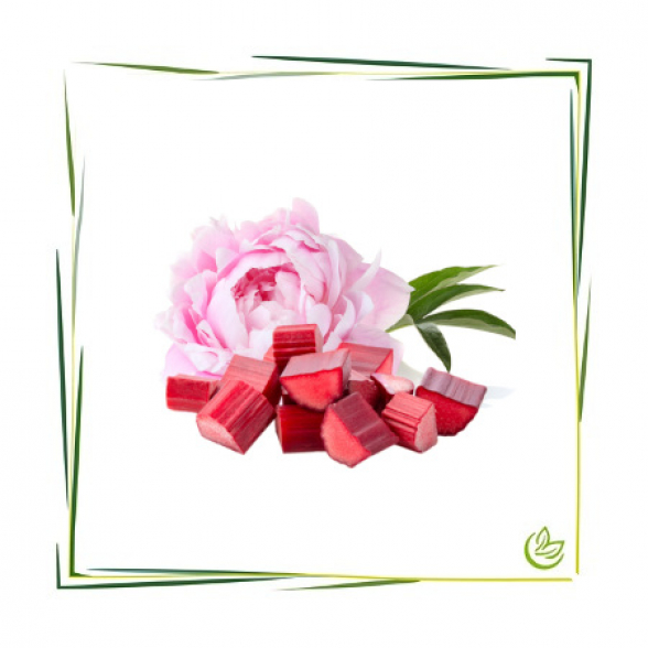 Parfümöl Rhubarb & Peony 3 l